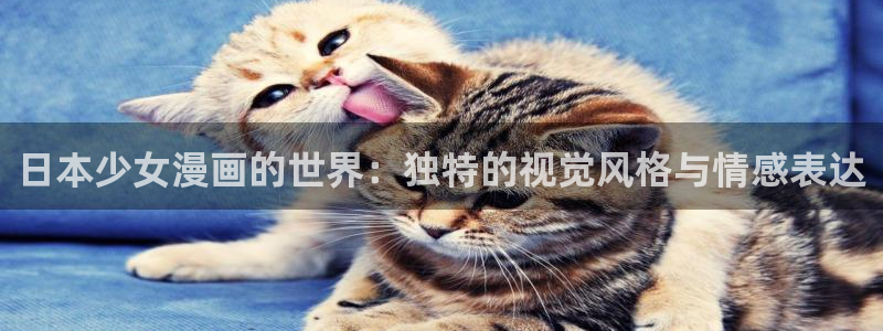 耽美漫画全部免费观看