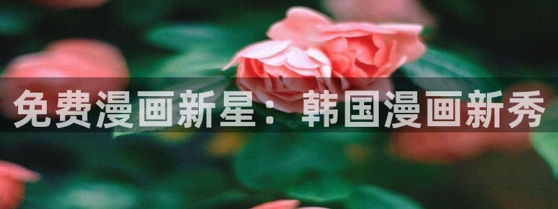耽美漫画免费看