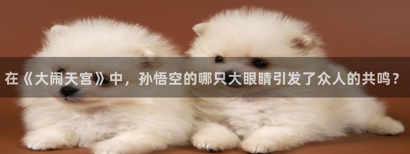 免费的耽美漫画